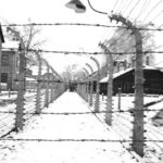 Escape from Auschwitz