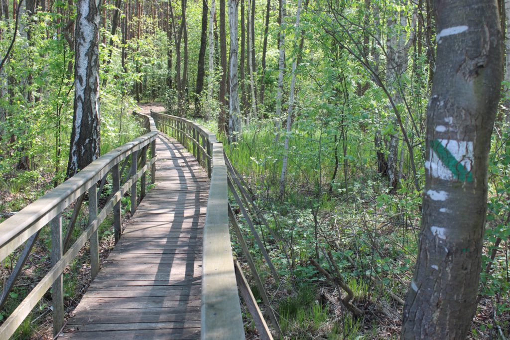 Polesie National Park