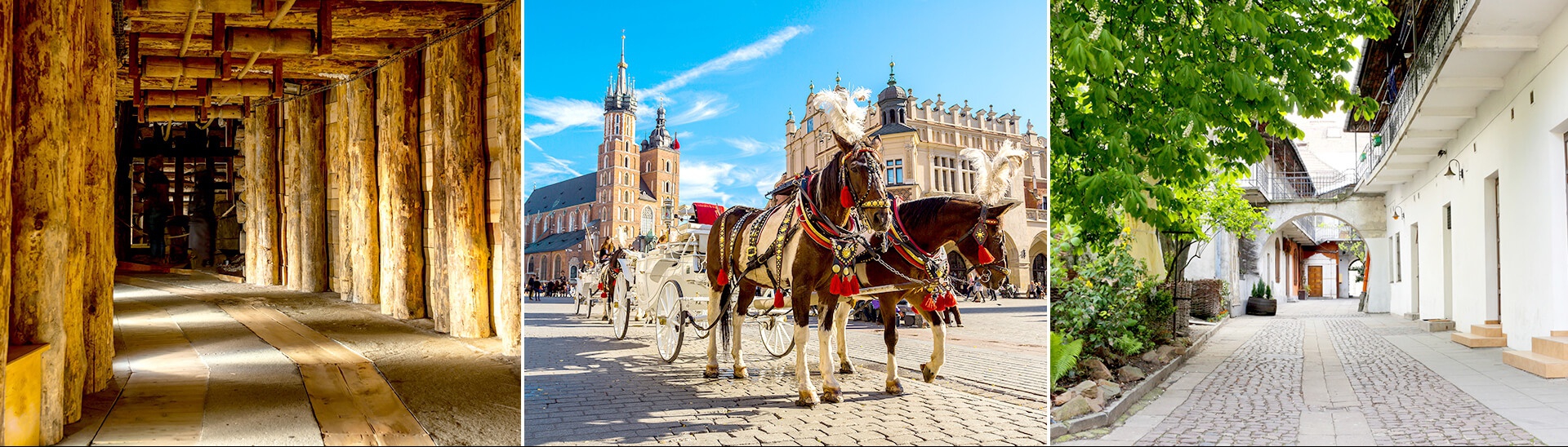 Package tours to Krakow - private guided tour with transport and hotel in Krakow